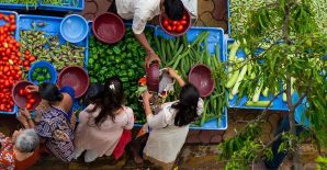 Information on Agricultural Policies Essential for Food System Performance