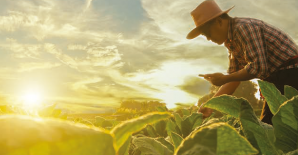 Release of OECD 2023 Agricultural Policy Monitoring and Evaluation Report